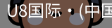 U8国际